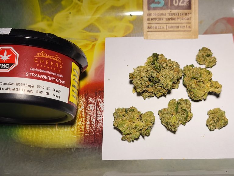 Strawberry Grail par Cheers Cannabis - SQDC - BuzzNation